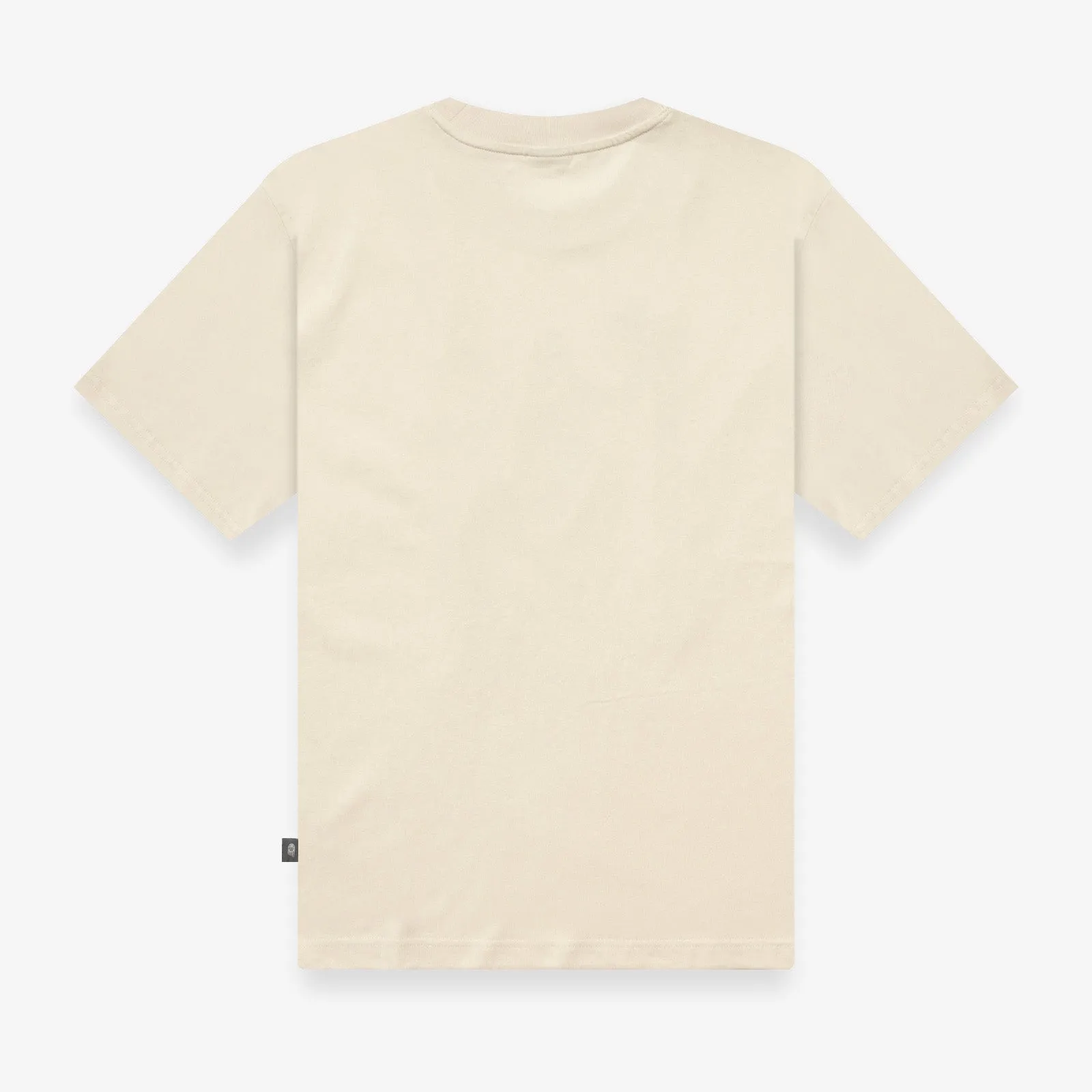 Hoops Graphic Vintage T-Shirt - Linen