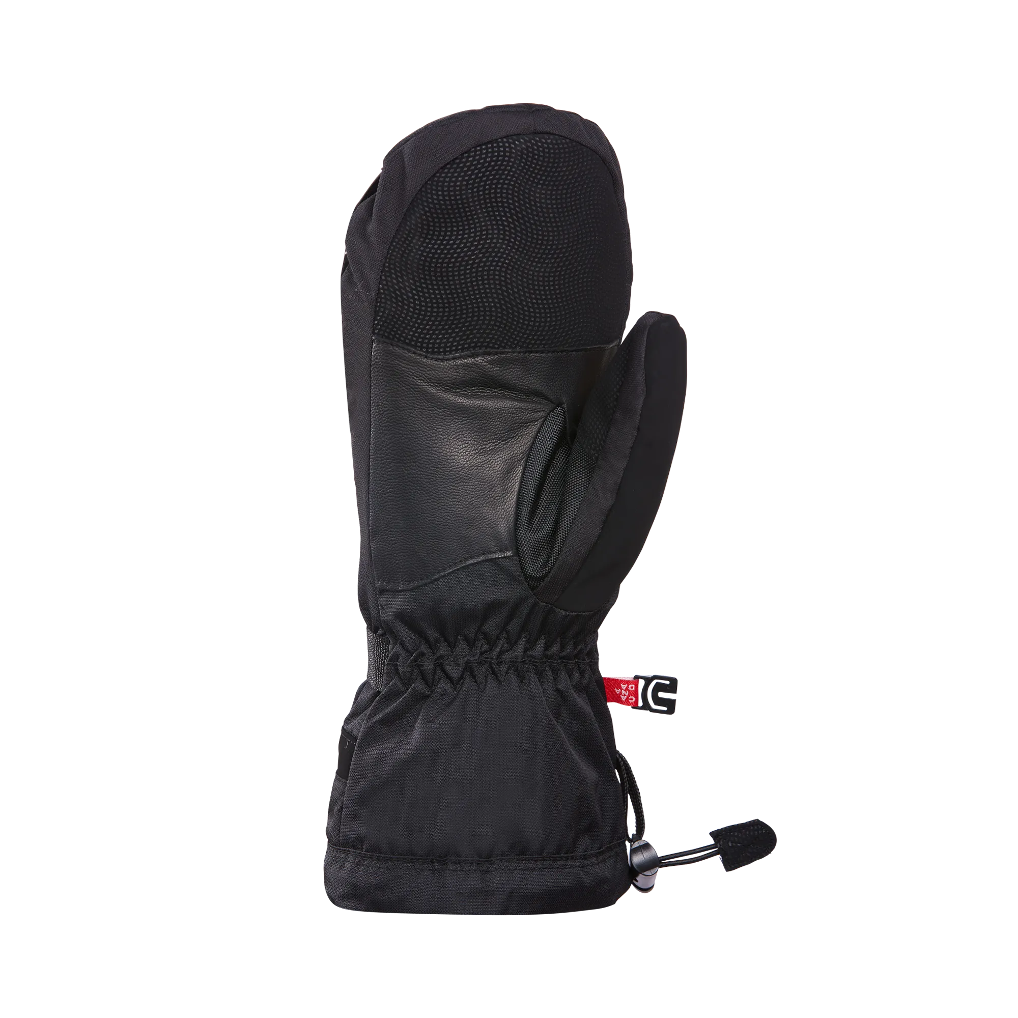 Timeless GORE-TEX Mittens - Men