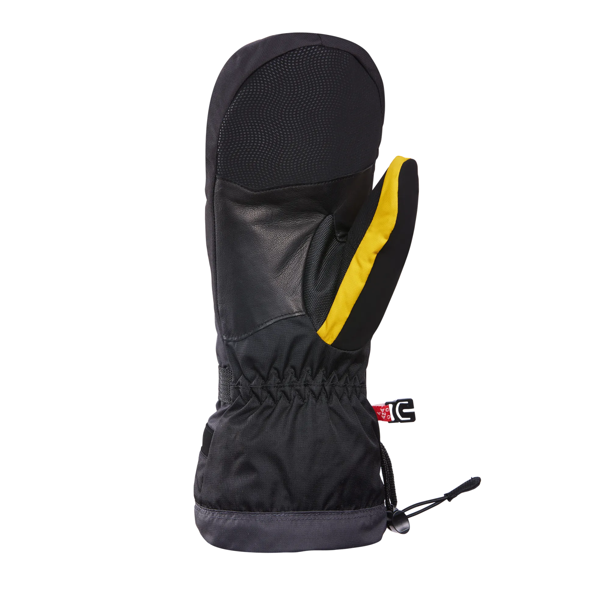 Timeless GORE-TEX Mittens - Men